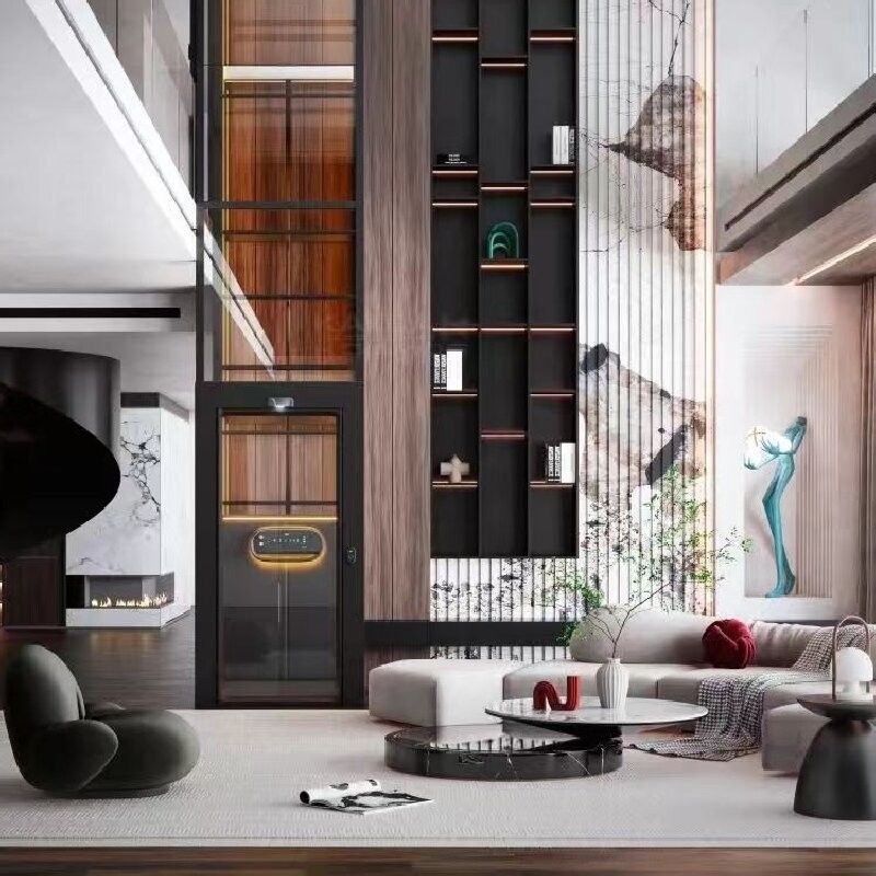 1-2 व्यक्ति स्क्रू ड्राइव लिफ्ट इनडोर स्क्रू ड्राइव होम लिफ्ट