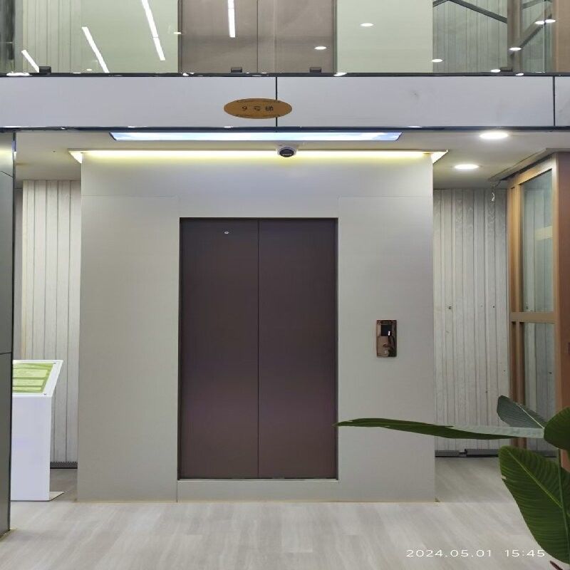 पैनोरमिक गड्ढा रहित होम लिफ्ट