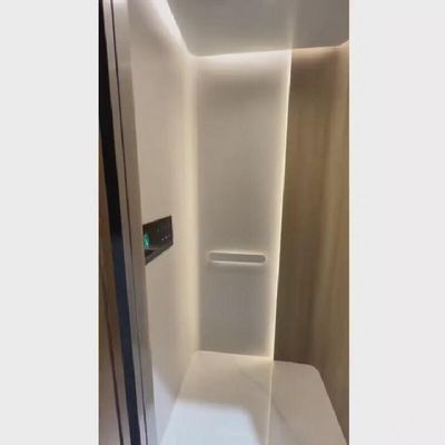 220 वी एसी स्क्रू ड्राइव होम लिफ्ट ऑटोमैटिक स्लाइडिंग डोर और 400 किलोग्राम क्षमता के साथ