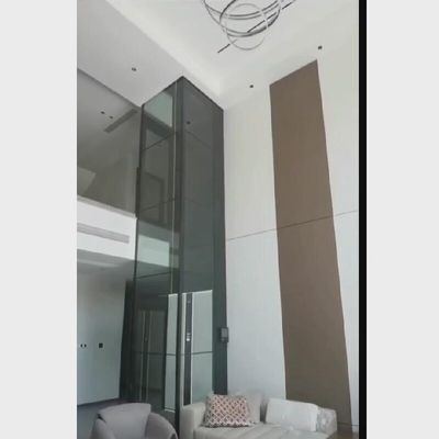 स्टेनलेस स्टील के दरवाजे और आपातकालीन स्टॉप बटन के साथ पेंच ड्राइव लिफ्ट