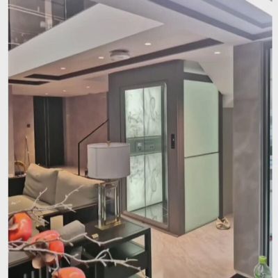 विला ट्रैक्शन सुरक्षित होम लिफ्ट 0.6 एम/एस एकल/तीन चरण बिजली आपूर्ति