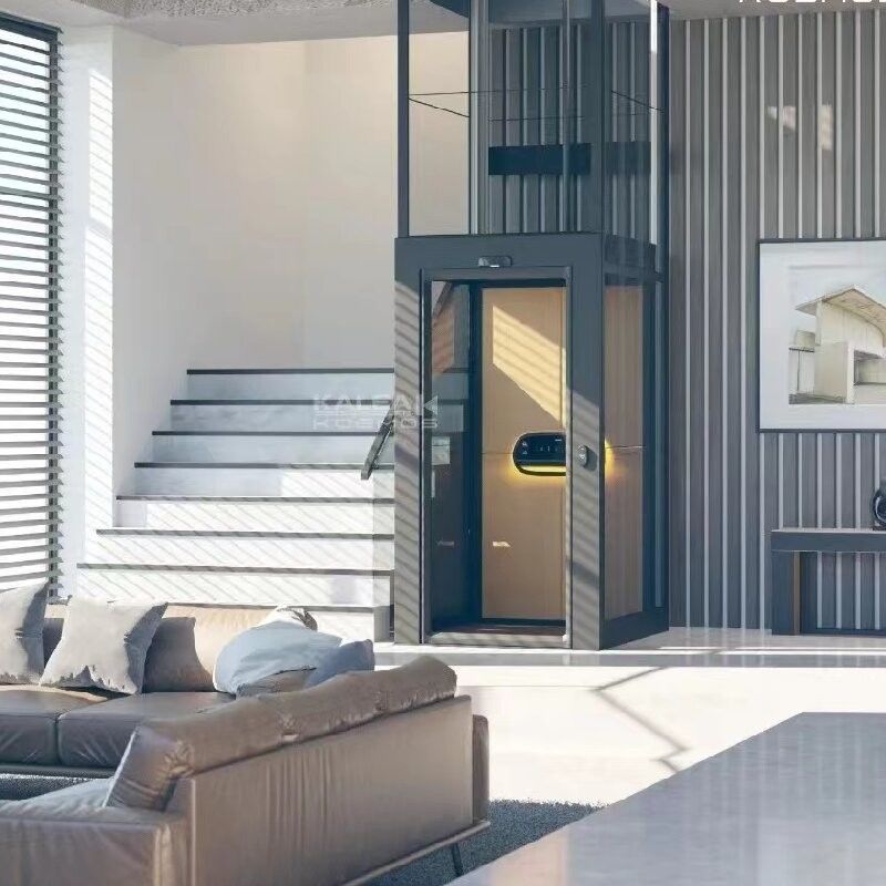 इनडोर स्क्रू ड्राइव होम लिफ्ट 500 किलो छोटे लिफ्ट घरों के लिए