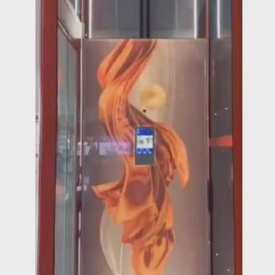 स्टेनलेस स्टील छोटे आवासीय लिफ्ट 400 किलो छोटे लिफ्ट घरों के लिए